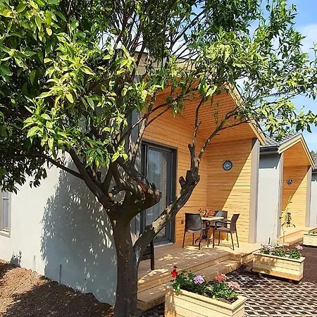 Zeytin Cicegi Evleri Holiday home