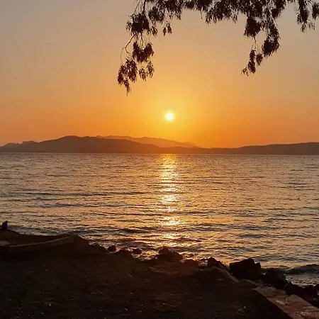 Zeytin Cicegi Evleri Casa vacanze