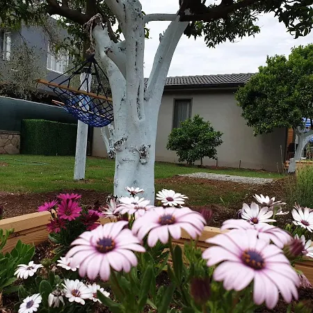 Zeytin Cicegi Evleri Holiday home Marmaris